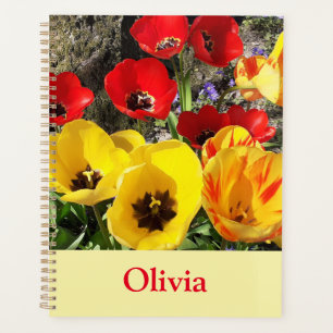 Tulipes jaunes et rouges