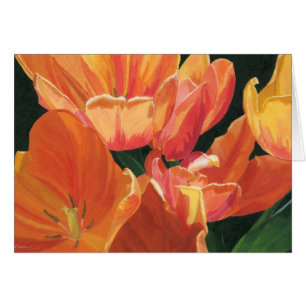 Tulipes orange et jaune