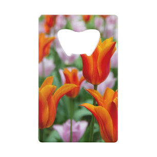 Tulipes orange vif dans le parc