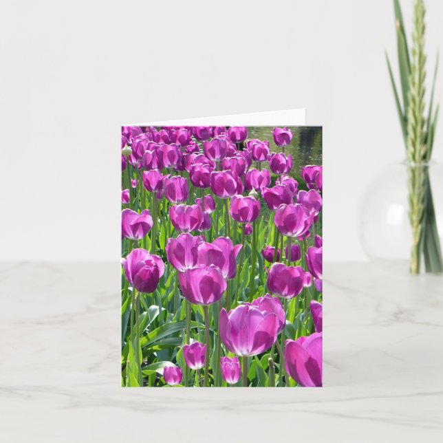 Tulipes pourpres (Devant)
