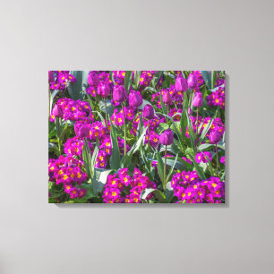 Tulipes pourpres et primroses vue toile impression