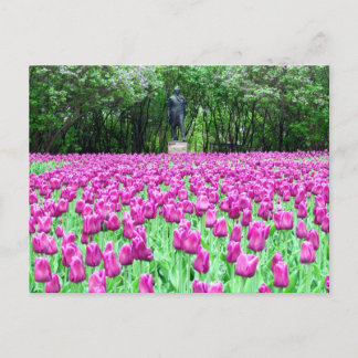 Tulipes printanières dans la carte postale du jard