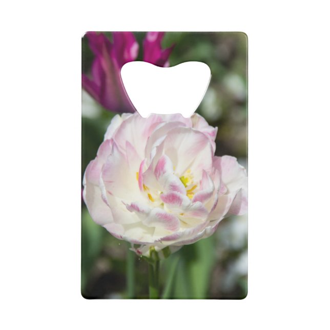 Tulipes rose vif par jour ensoleillé (Devant)