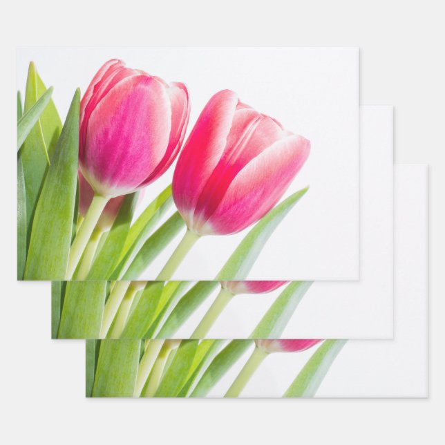 Tulipes roses avec Feuille vert photo (Lot)