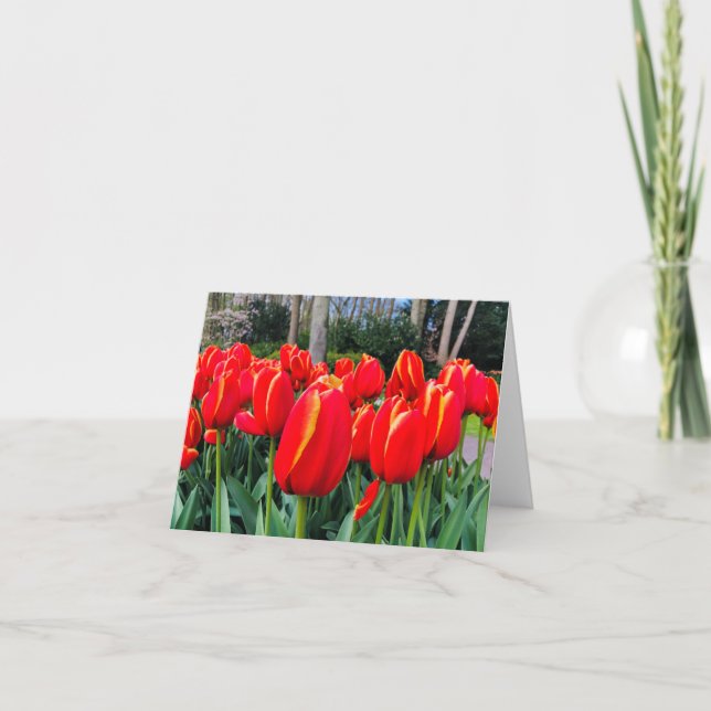 Tulipes rouges - Carte pour notes (Devant)