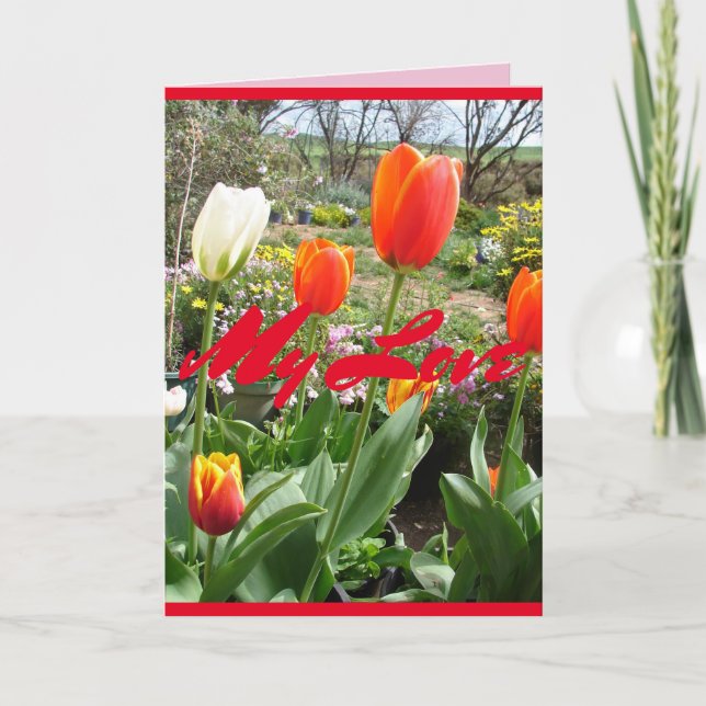 Tulipes rouges Ma carte de fleurs de printemps amo (Devant)