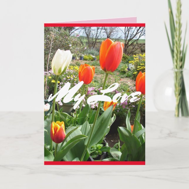 Tulipes Rouges Mon Amour Carte de fleurs de printe (Devant)