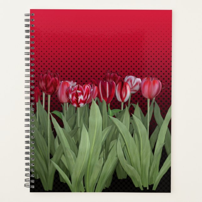 Tulipes rouges sur dégradé (Devant)