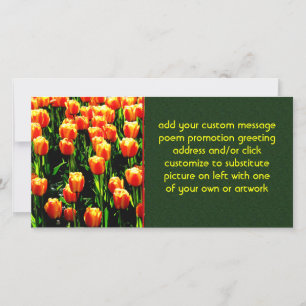 Tulipes solaires