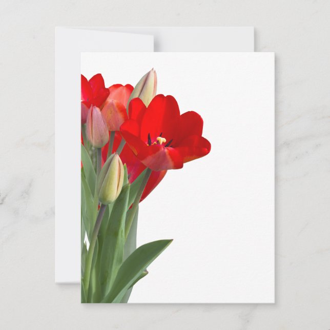 Tulips (Devant)