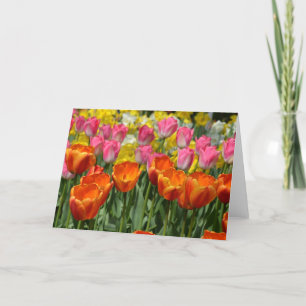 Tulips à ressort rose et orange carte de voeux