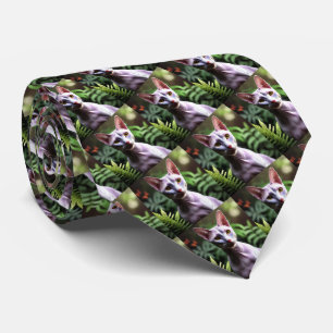 Tuna Le Sphynx sans cheveux Chat, Cravate