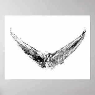 Tuna Tail Impression Art