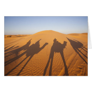 Tunisie, Ksour Area, Ksar Ghilane, Grand Erg 5