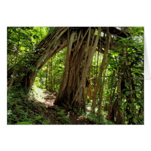 Tunnel de l'arbre des figues