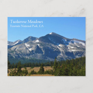 Tuolumne Meadows, Yosemite, CA Carte postale