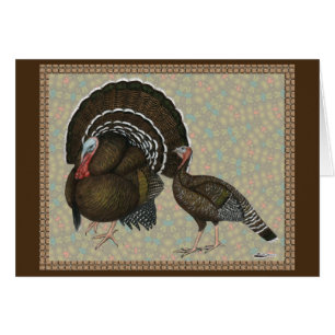 Turkeys Standard Bronze Portrait