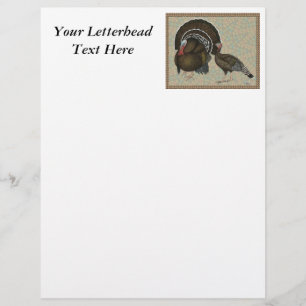 Turkeys Standard Bronze Portrait