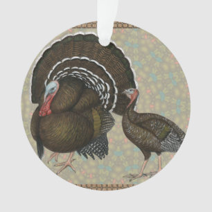 Turkeys Standard Bronze Portrait