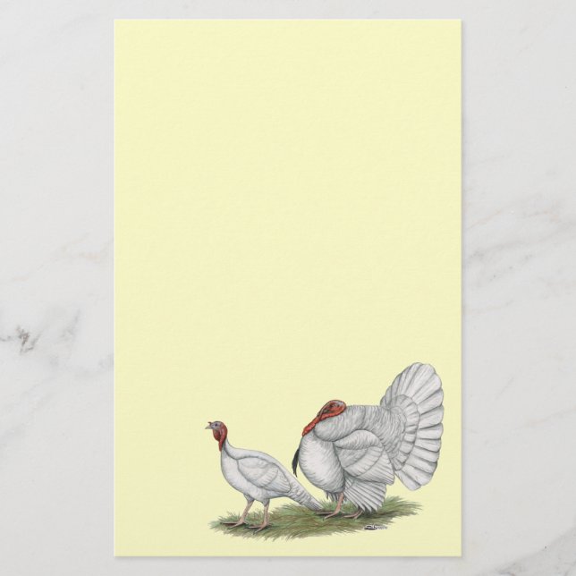 Turkeys White Holland (Devant)