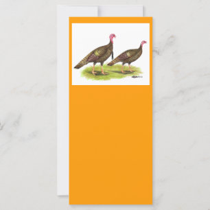 Turquie : Bronze sauvage