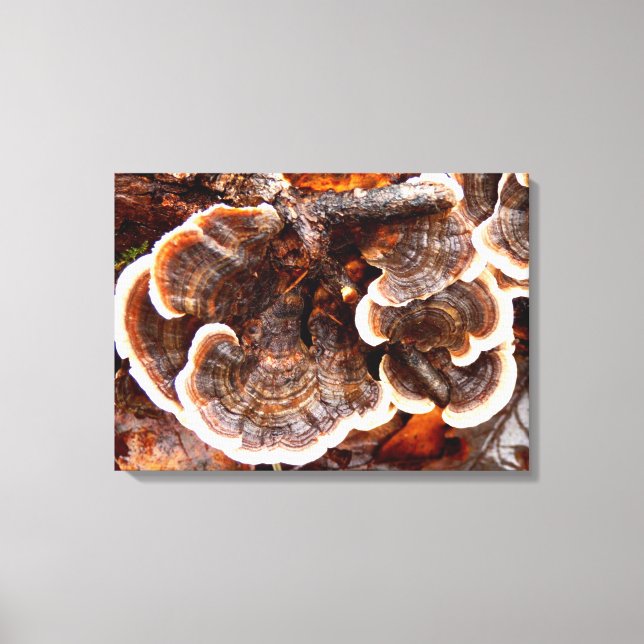 Turquie Tailles Fungi toile imprimé (Recto)