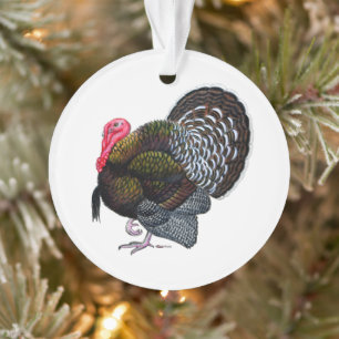 Turquie : Tom en bronze