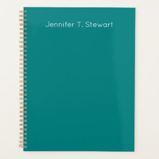 Turquoise & Blanc Professionnel Élégant Simple