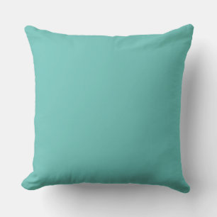 Turquoise coussin bleu Turquoise bleu vert uni