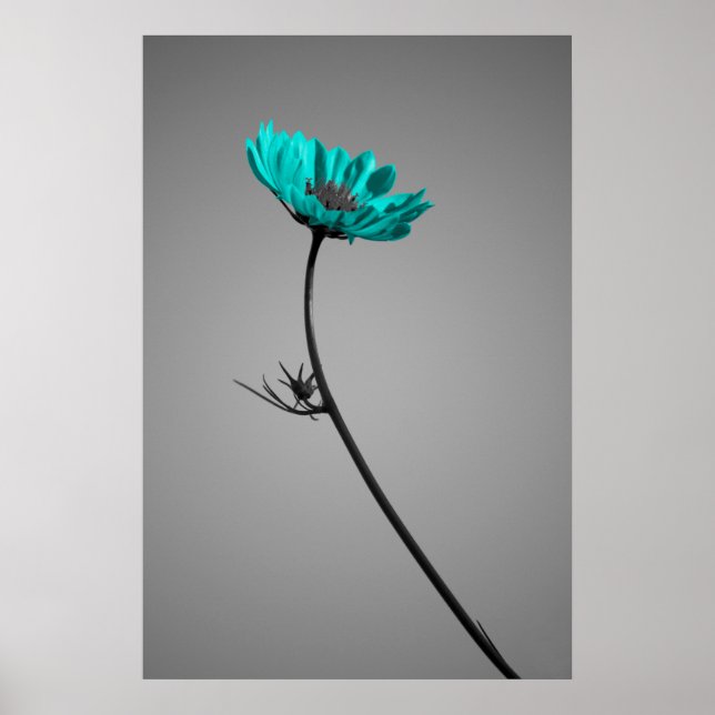 turquoise flower poster (Devant)