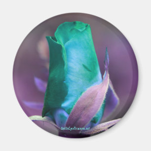 Turquoise Rosebud Fleur Magnet de photographie