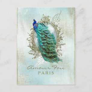 Turquoise Shabby Peacock - Carte Postale