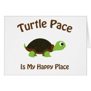 Turtle pace