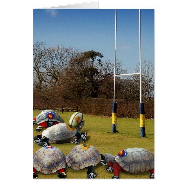 Turtle Rugby (Devant)
