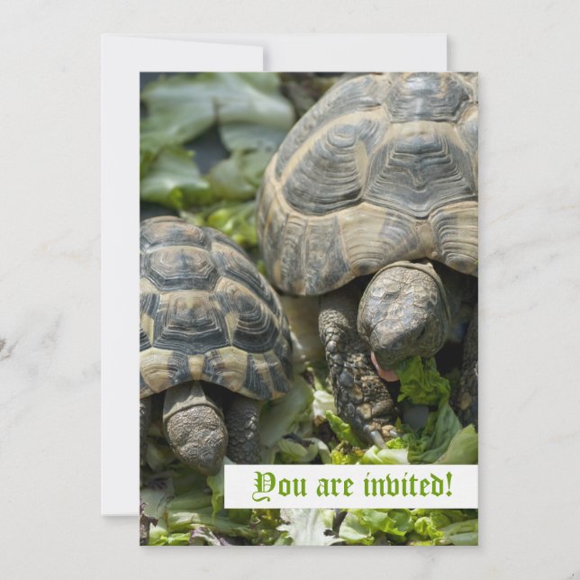 Turtles mignonnes Invitations personnalisées (Devant)