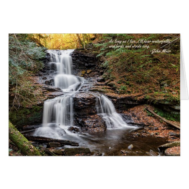 Tuscarora tombe à Ricketts Glen Note Card (Devant horizontal)