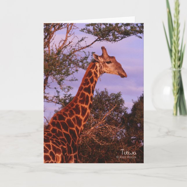 Tutwa, girafe au Botswana, Carte de voeux (Devant)