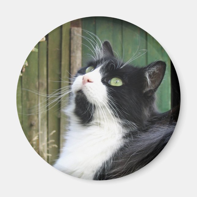 Tux - Aimant Rond De 2¼ Pouces (Devant)