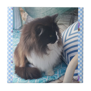 Tuxedo cat Black White Furry Cats Carreaux en cér