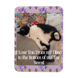Tuxedo Cat Funny Love You Cats Magnet