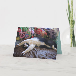 Tuxedo Cat Funny Mexicaine Vague Cute Carte Annive