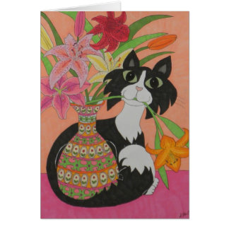 Tuxedo Chat avec Lilies