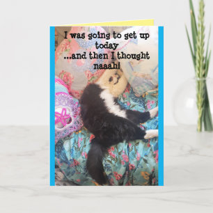 Tuxedo Chat Cute Funny Chats couchés Carte d'anniv