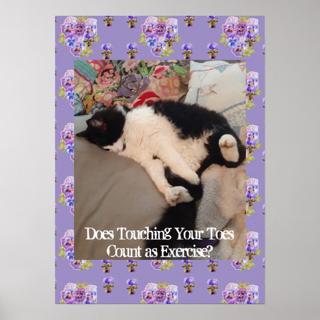 Tuxedo Chat Cute Funny Touch Toes Chats Poster (Devant)