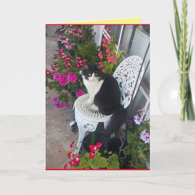 Tuxedo Chat Cute Jolie Fleurs Chats Carte d'Annive (Devant)