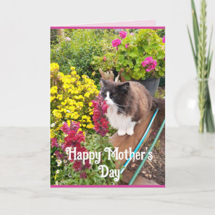 Tuxedo Chat Fleurs de Coussin Funny Mothers Carte 