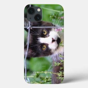 Tuxedo Kitten Xena dans le coque ipad de jardin
