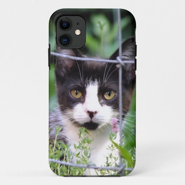 Tuxedo Kitten Xena dans le jardin iPhone 5 Coque (Dos)