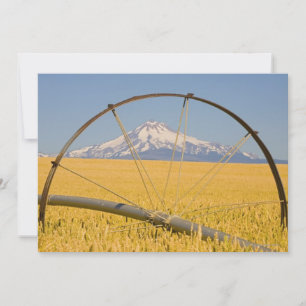 Tuyau d'irrigation en champ