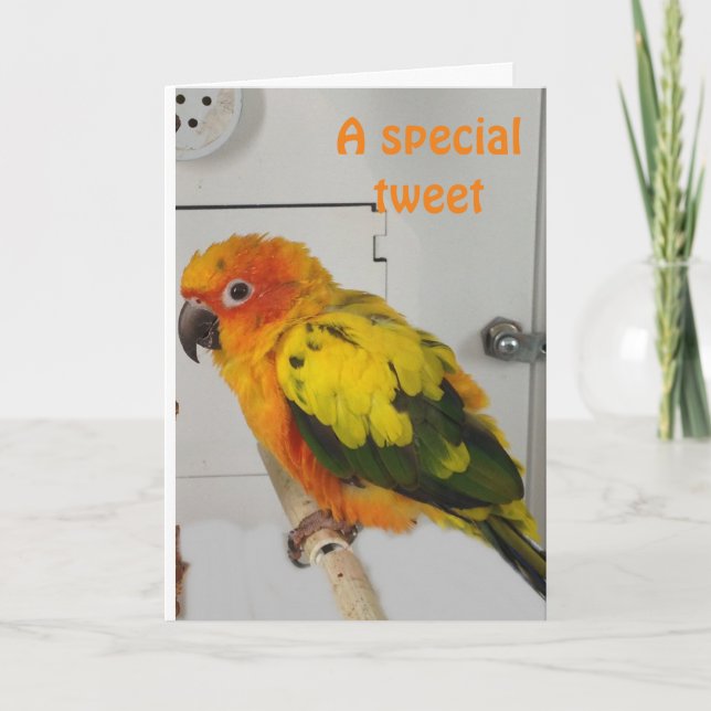 "TWEETING" VOUS UNE CARTE DE VACANCES PÂQUES TRÈS  (Devant)